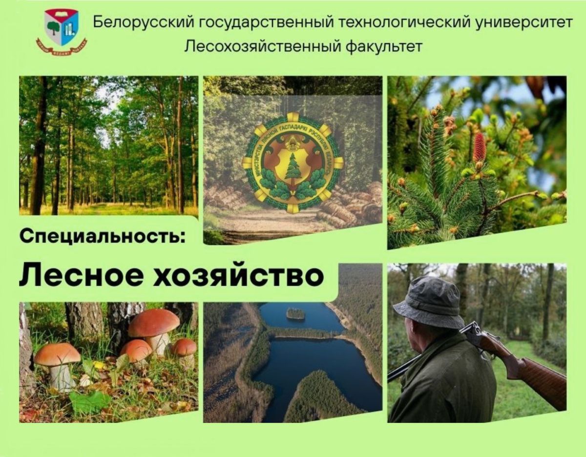 БГТУ меняет экзамены для поступления на специальности «лесное хозяйство» и «туризм и природопользование»