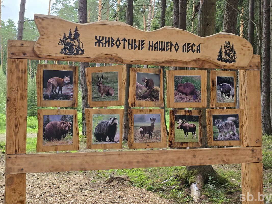 Босиком по «Бацькавым сцяжынкам»
