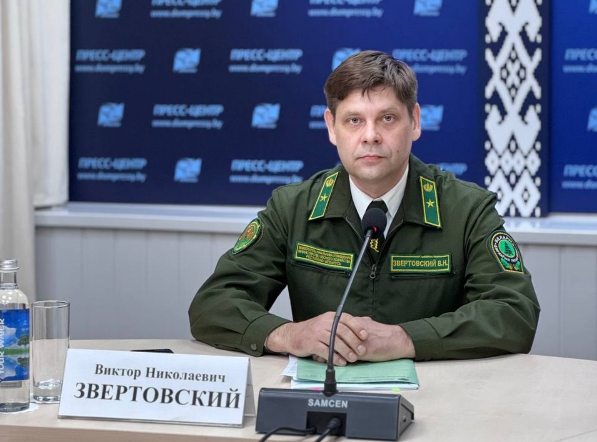 Прошел весенний сезон лесовосстановления в Беларуси: высажено около 100 млн деревьев