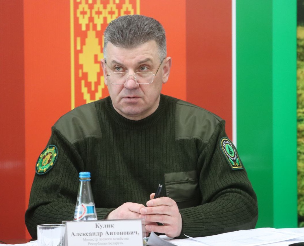 Буреломы под контролем