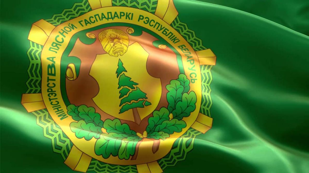 Обновлено Положение о Министерстве лесного хозяйства Республики Беларусь