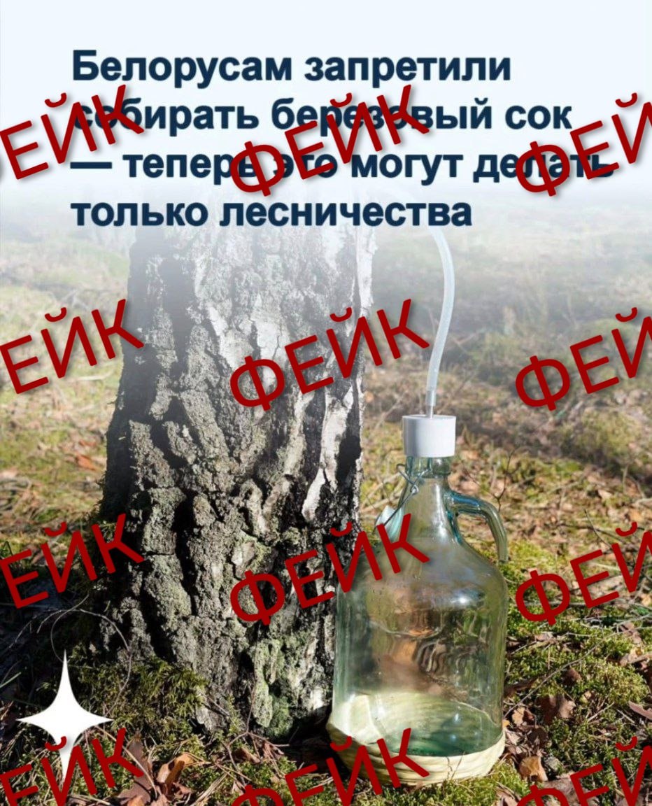 ❌ ВНИМАНИЕ: ФЕЙК