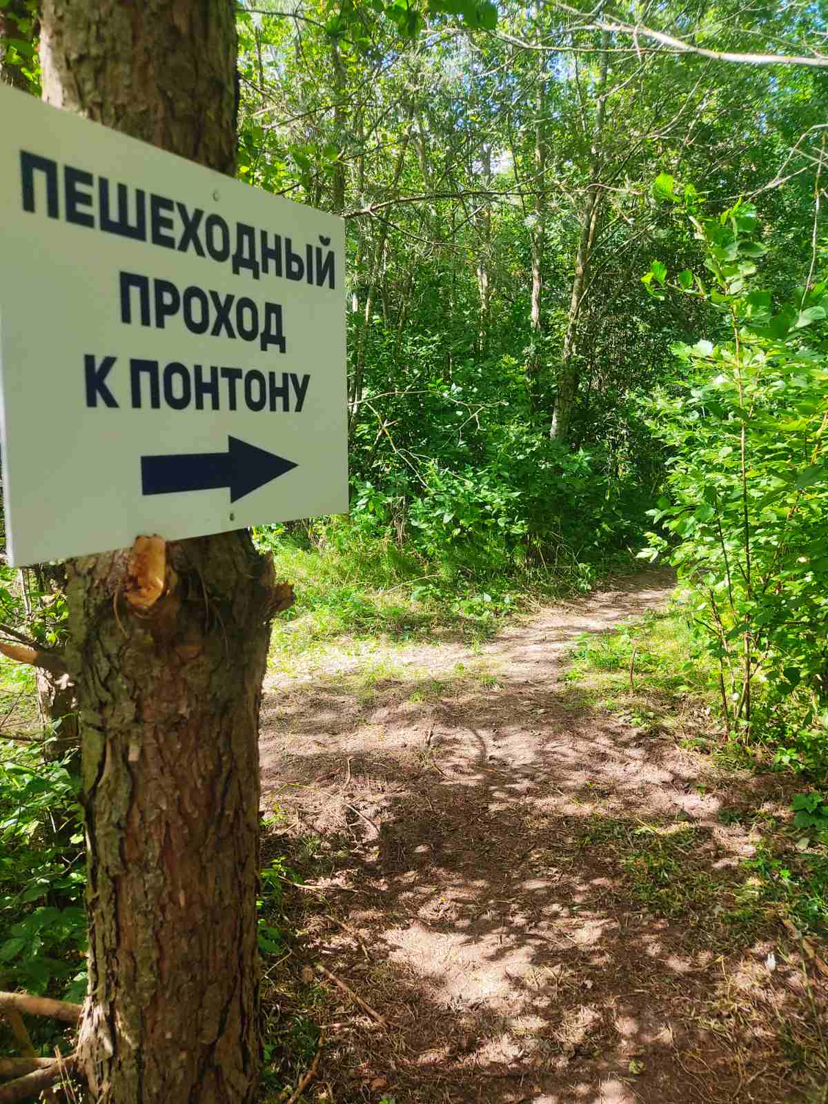 Работники Оршанского лесхоза обустроили пешеходный проход к понтонному мосту