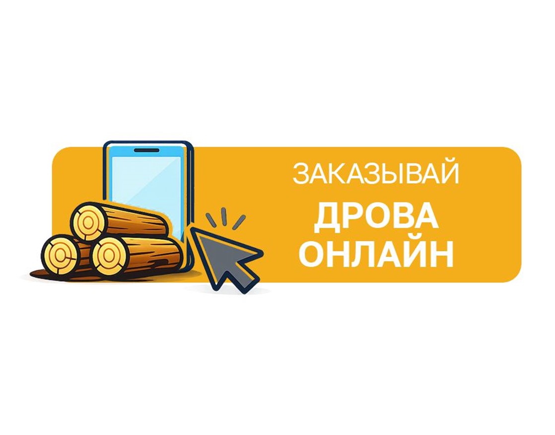 В Минлесхозе напомнили населению о вариантах приобретения дров